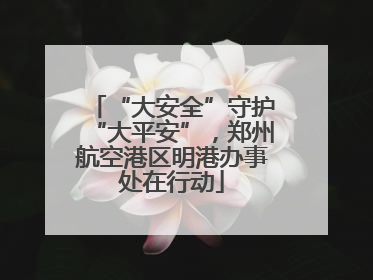 “大安全”守护“大平安”，郑州航空港区明港办事处在行动